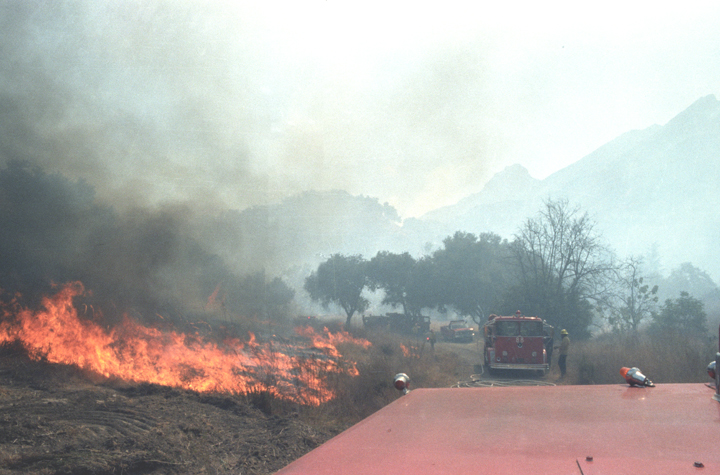 MALIBU STATE PK BRUSH FIRE 02a  bright 40 cont -10.jpg