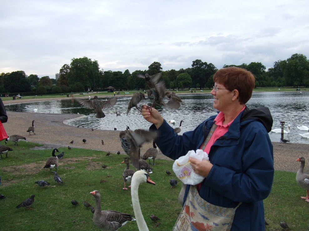 Even the little birds were friendly