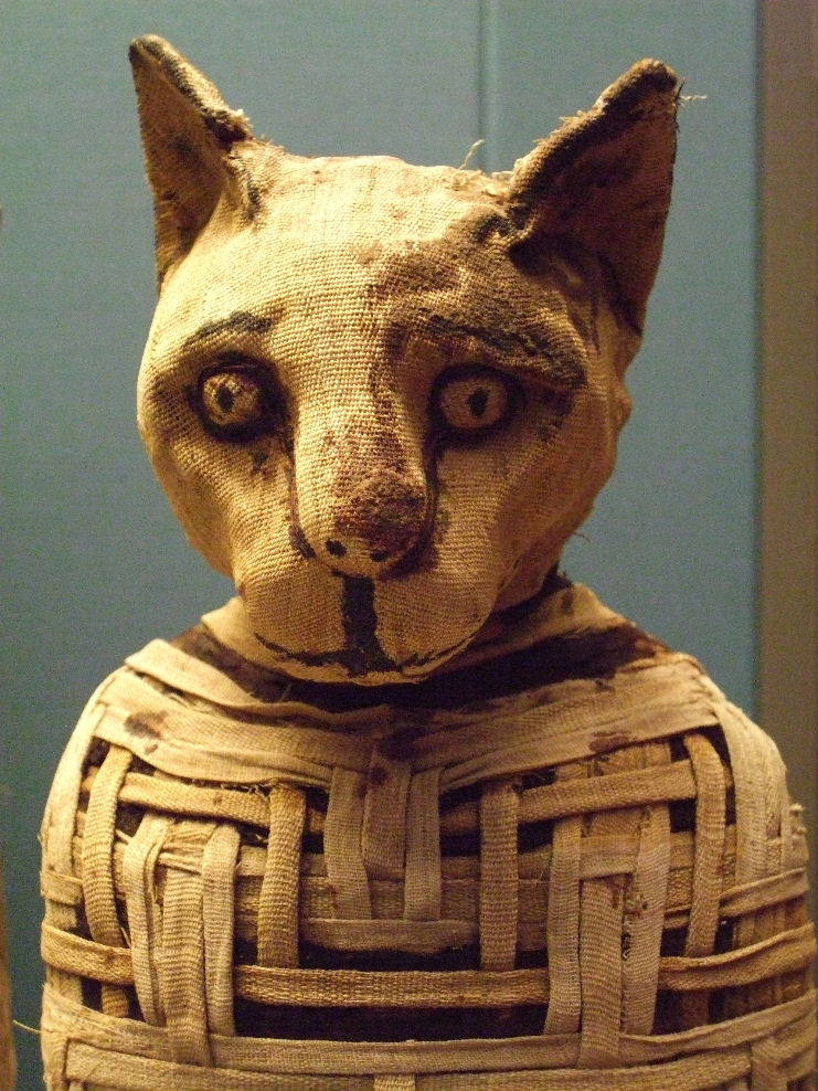 The mummified cat was wrapped in woven linen