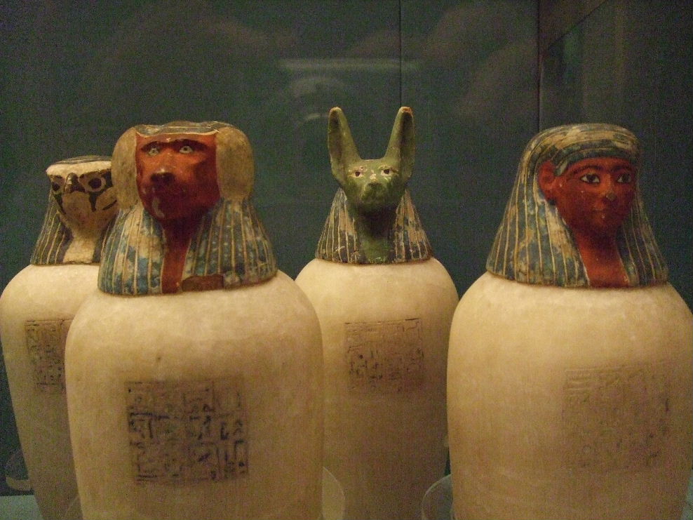 Organ jars