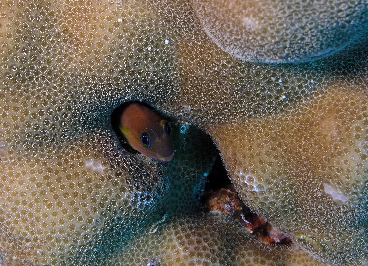 P9180054a.jpg