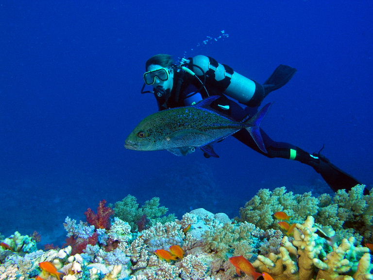Bluefin Trevally.jpg