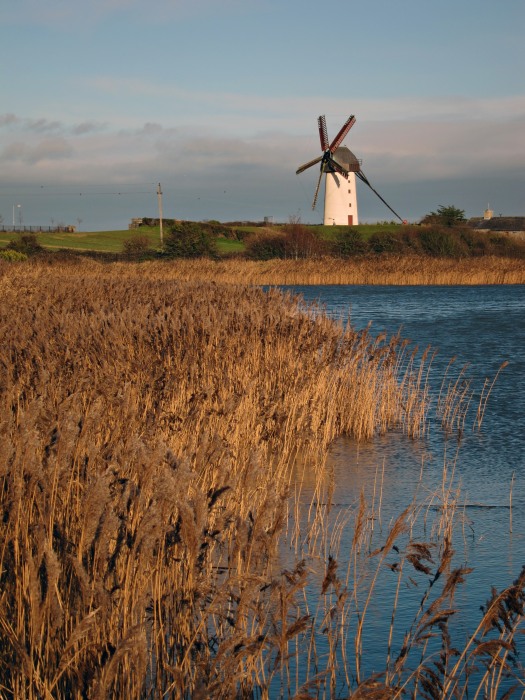 Skerries Mills