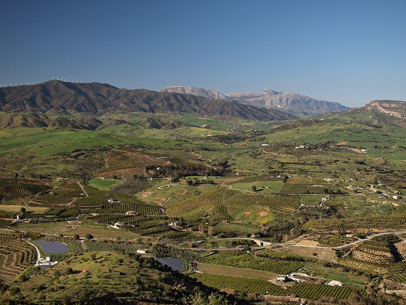 From Sierra de Gibralgalia