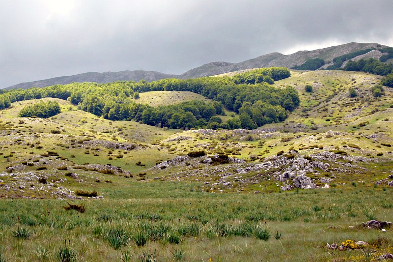 Galičica National Park