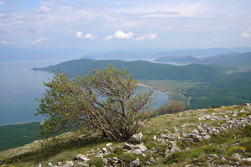 Lake Prespa, from Galičica