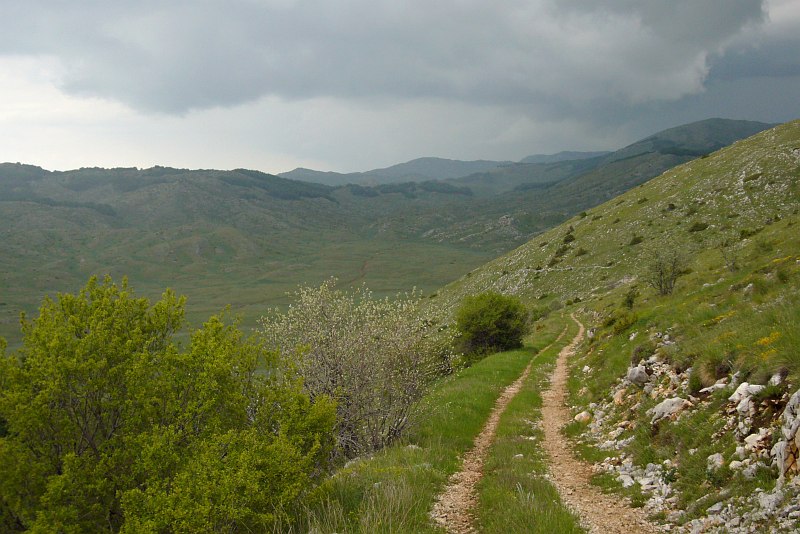 Galičica National Park