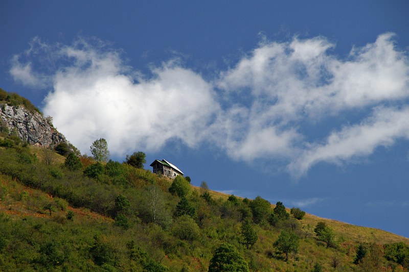 Bukovik