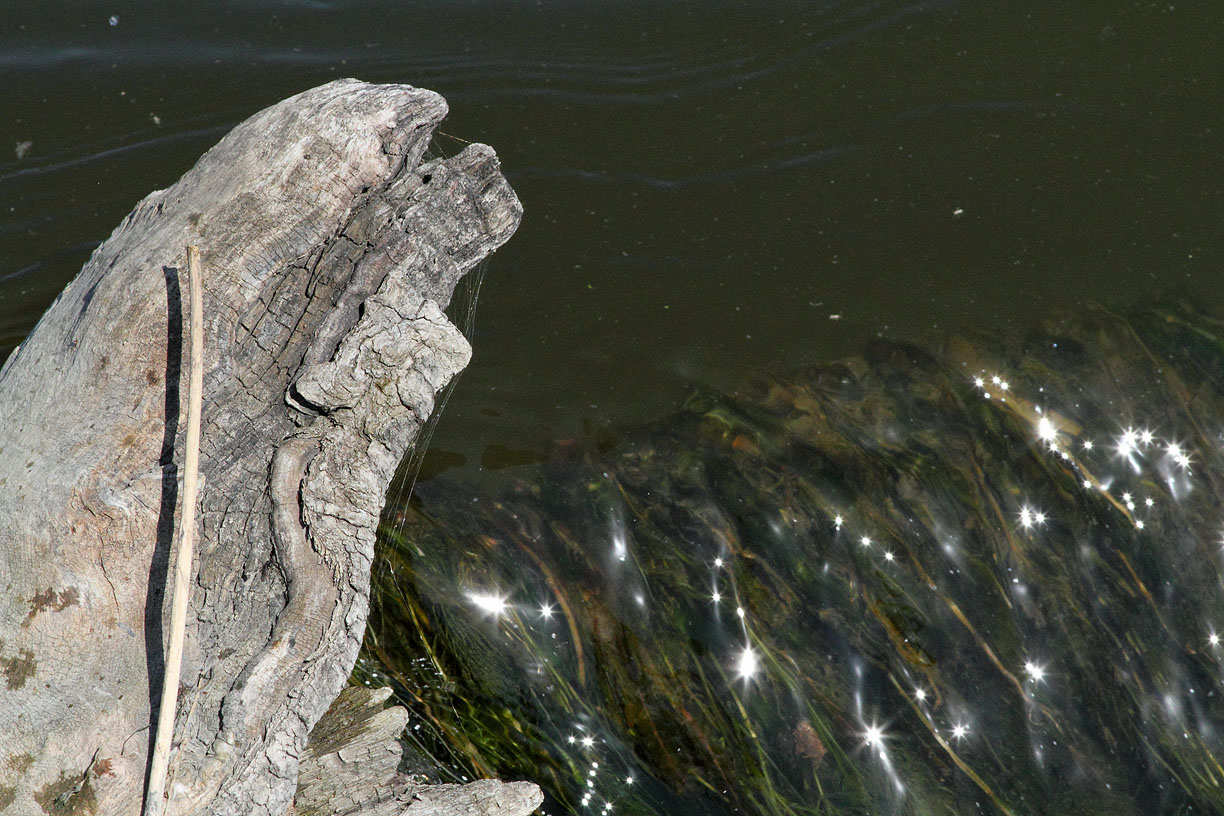 Water Over Wood