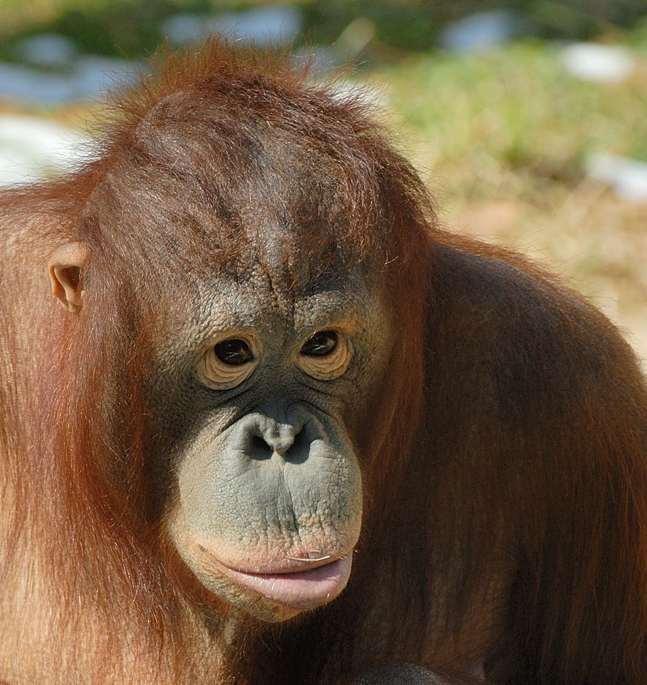 D25_4739.jpg