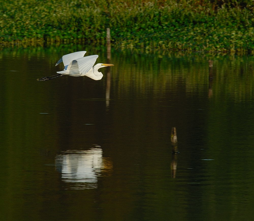 D28_4510.jpg