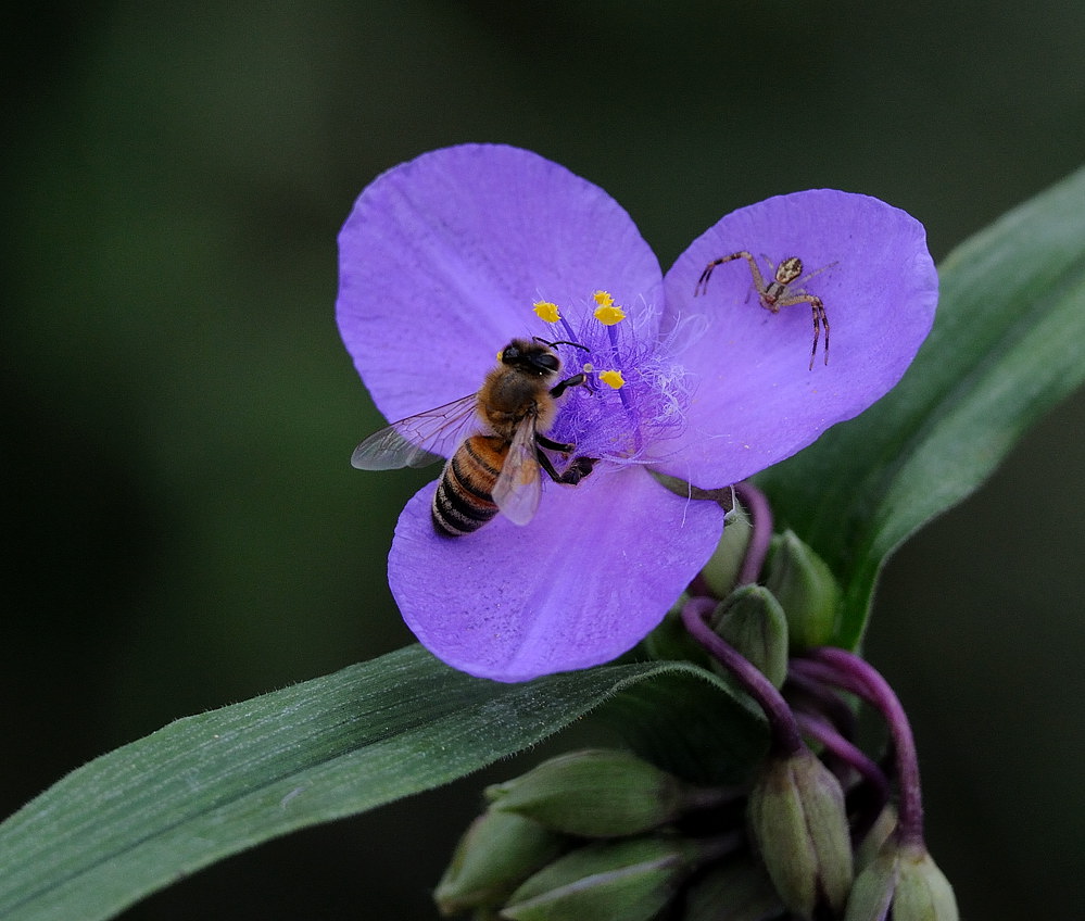 D31_9970.jpg