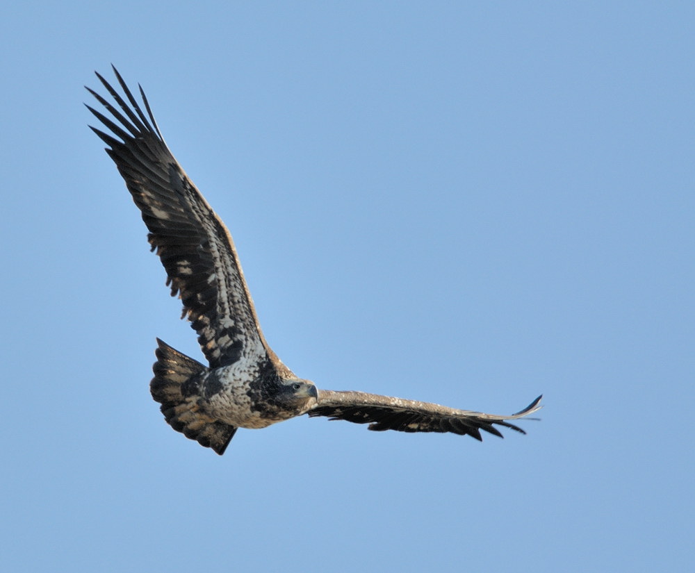 D31_5546.jpg