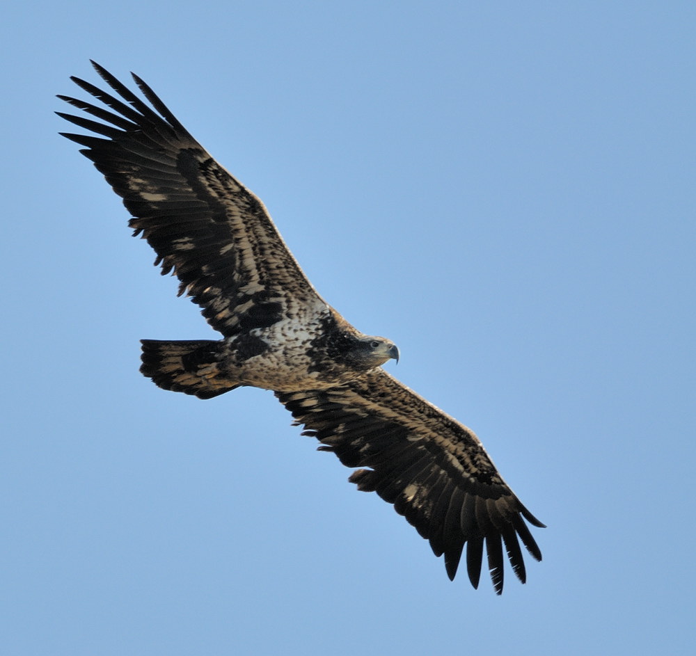 D31_5548.jpg