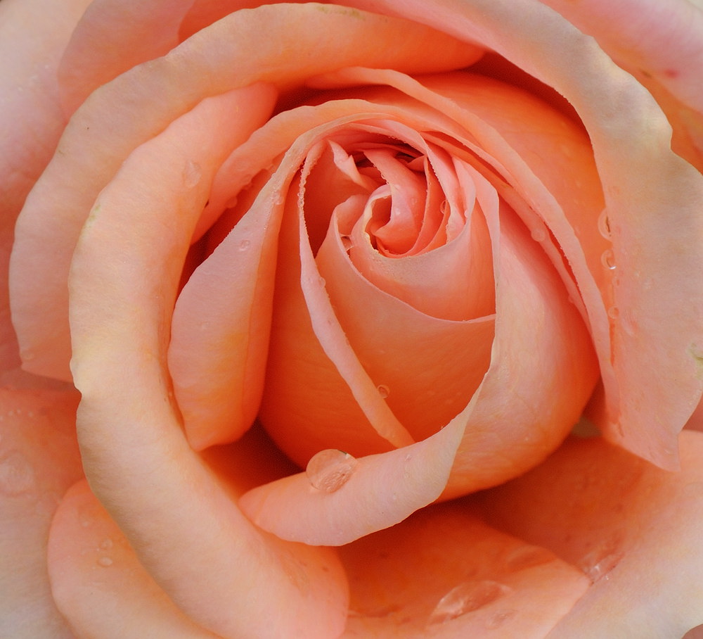 D32_5109.jpg