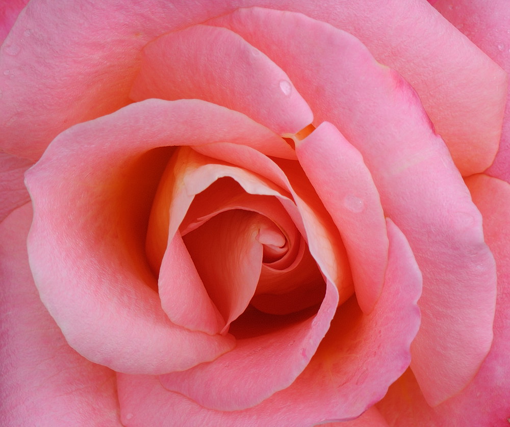 D32_5117.jpg