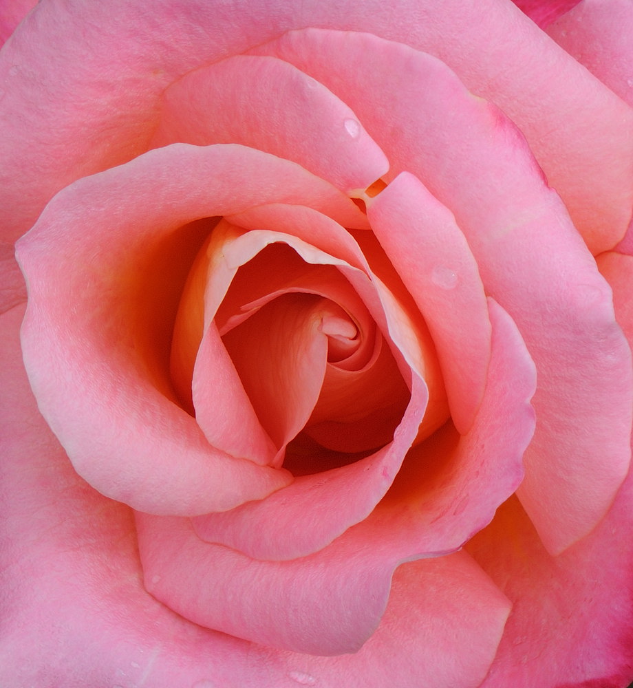 D32_5118.jpg