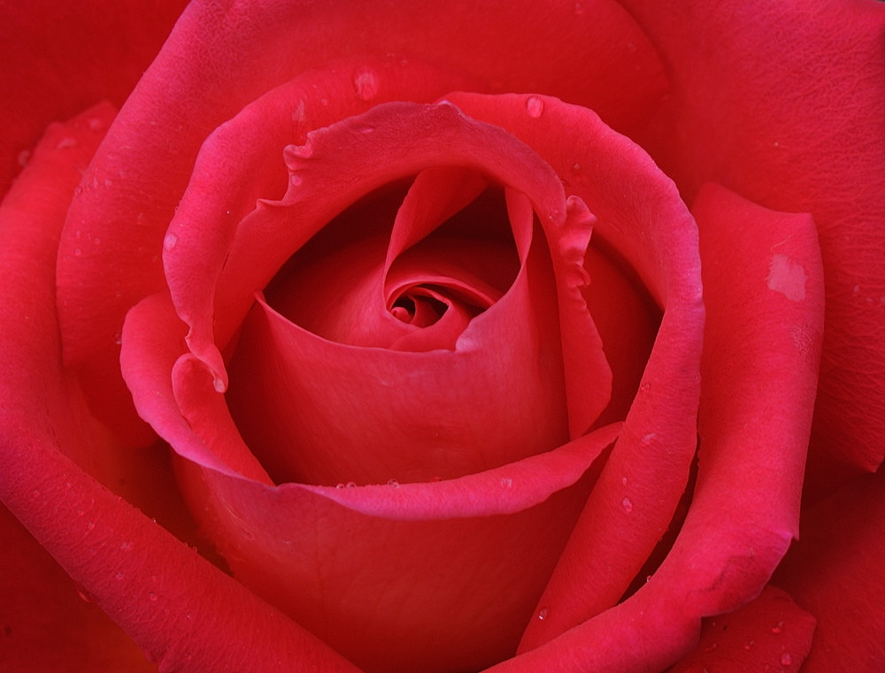 D32_5152.jpg