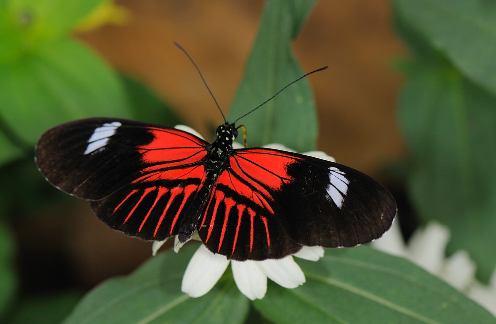 D32_5588.jpg