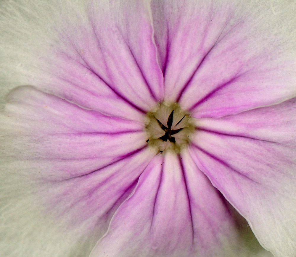 D32_5684.jpg