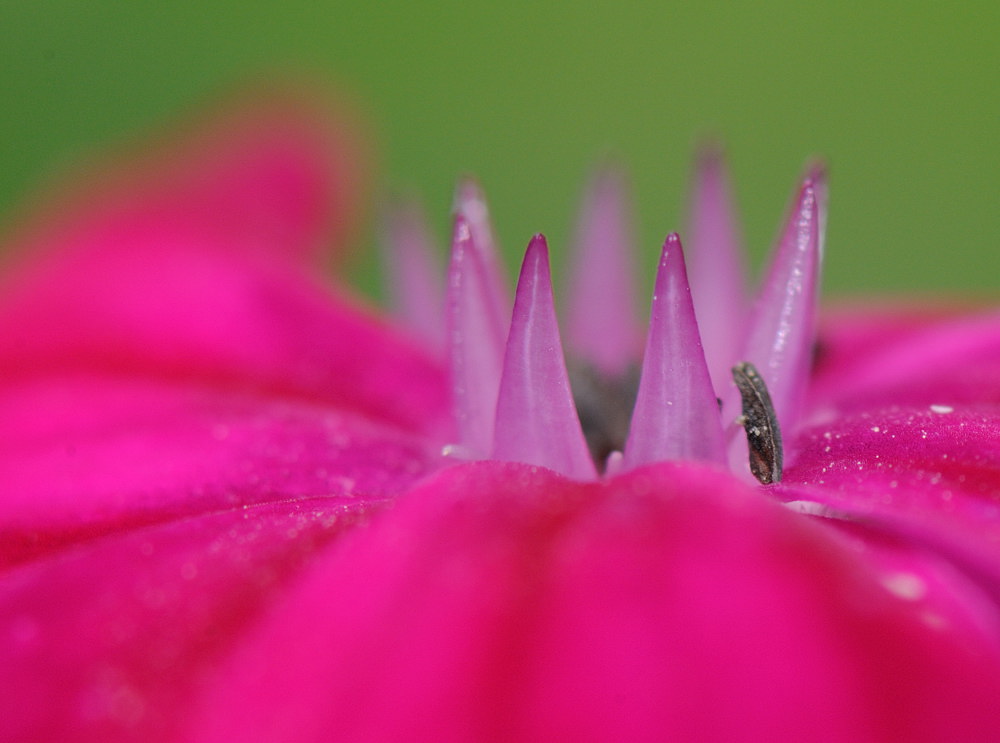 D32_6770.jpg