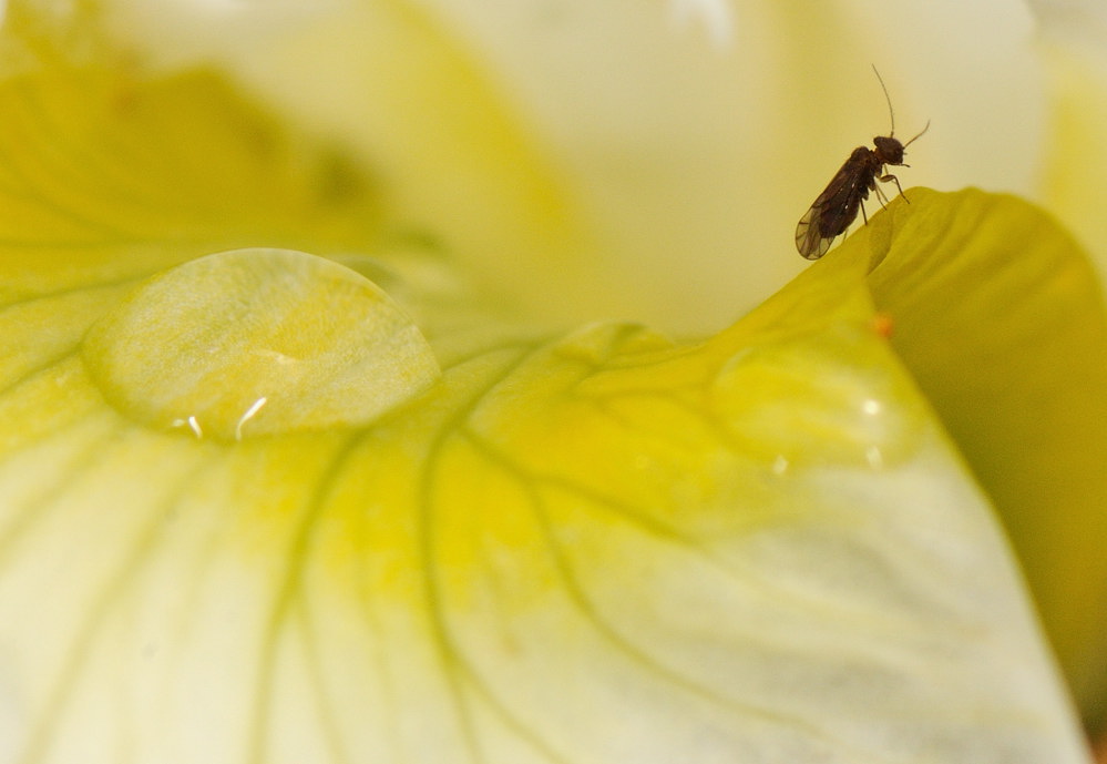 D32_6819.jpg