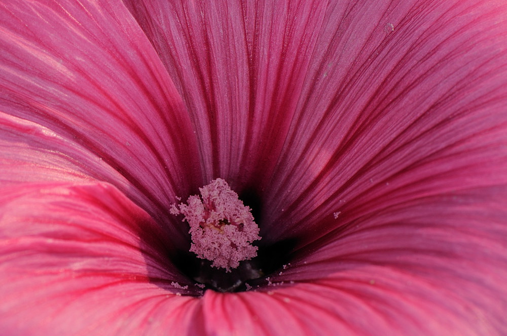 D32_9966.jpg