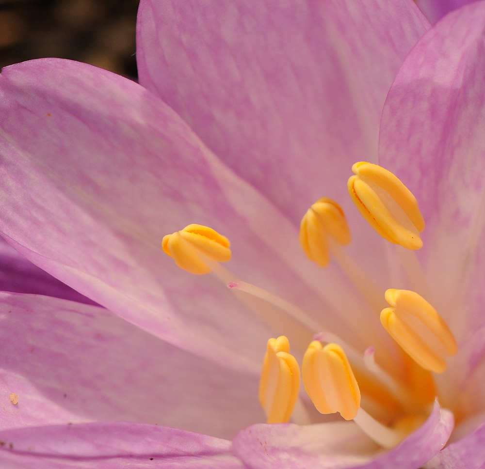 D33_4279.jpg