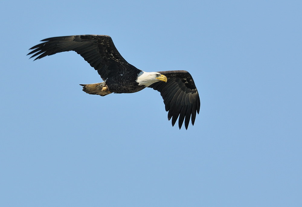 D34_7491.jpg