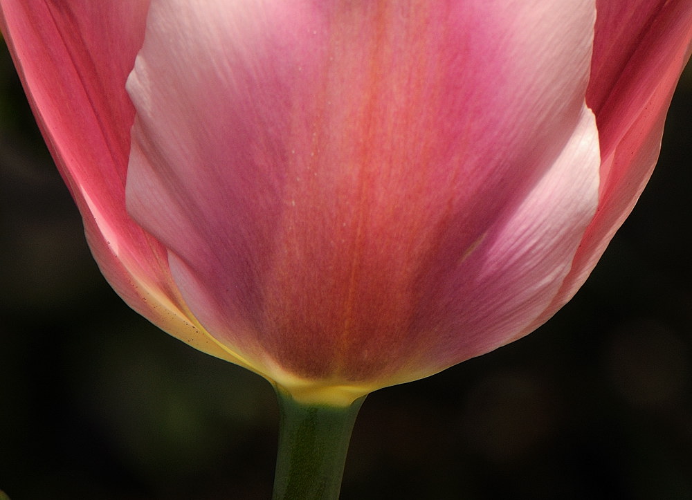 D34_9234.jpg