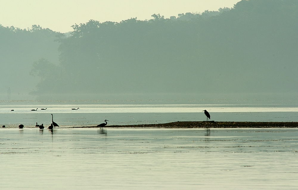 DSC_7522.jpg