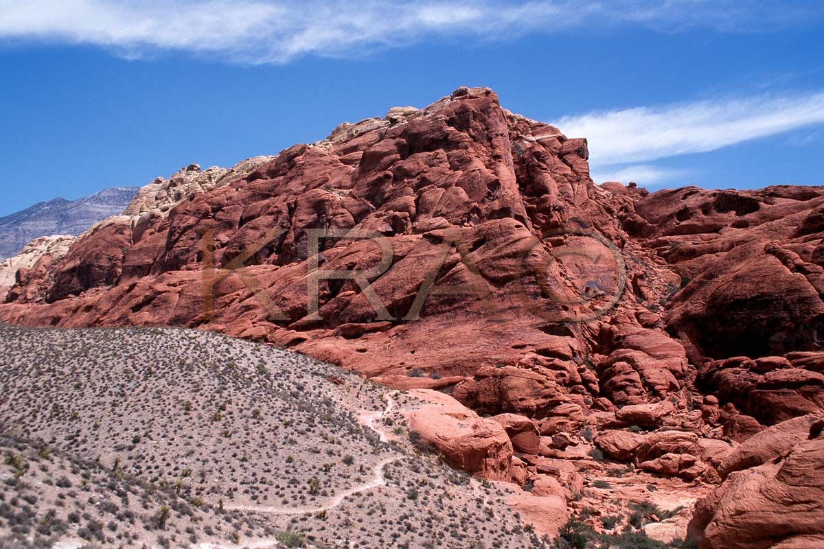 red rock canyon 014(7-02).jpg