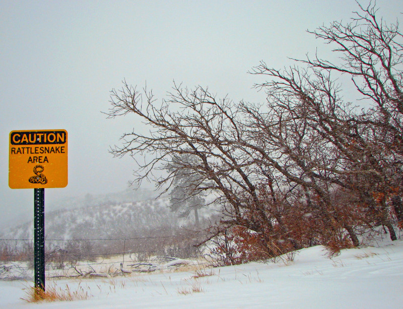20th December 2006 Weather