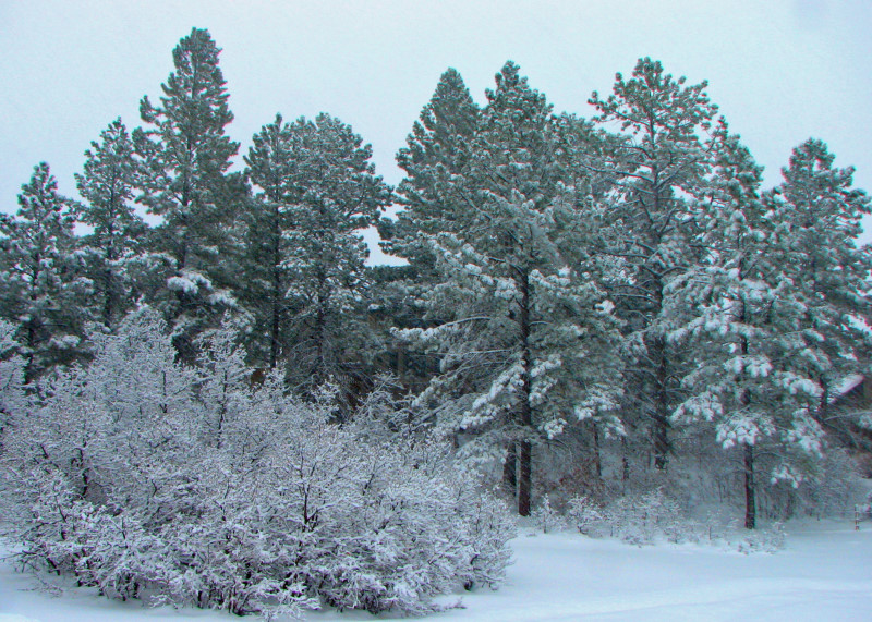 28th December 2006 Weather
