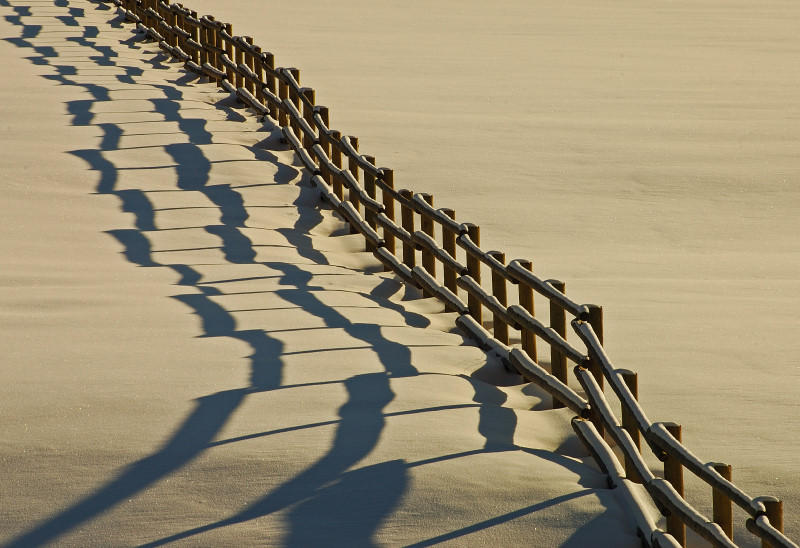 Fence Line