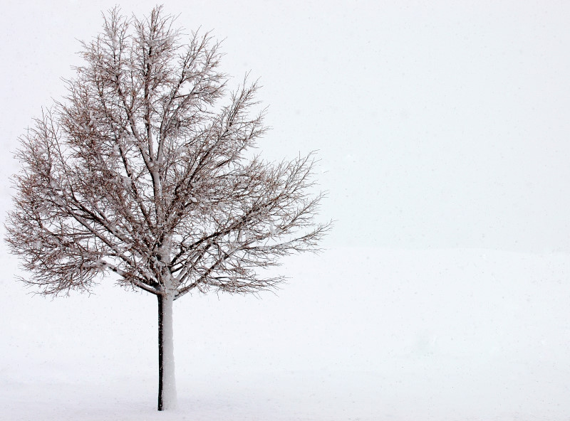 Whiteout