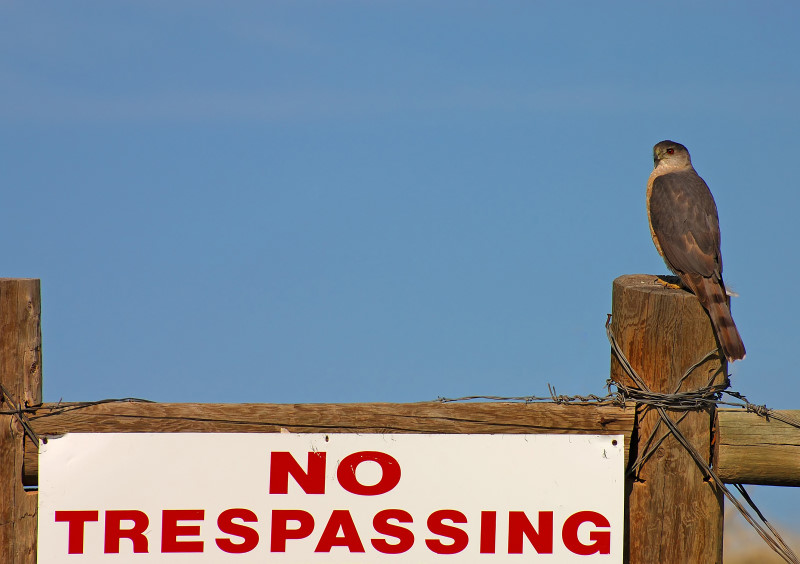 No Trespassing