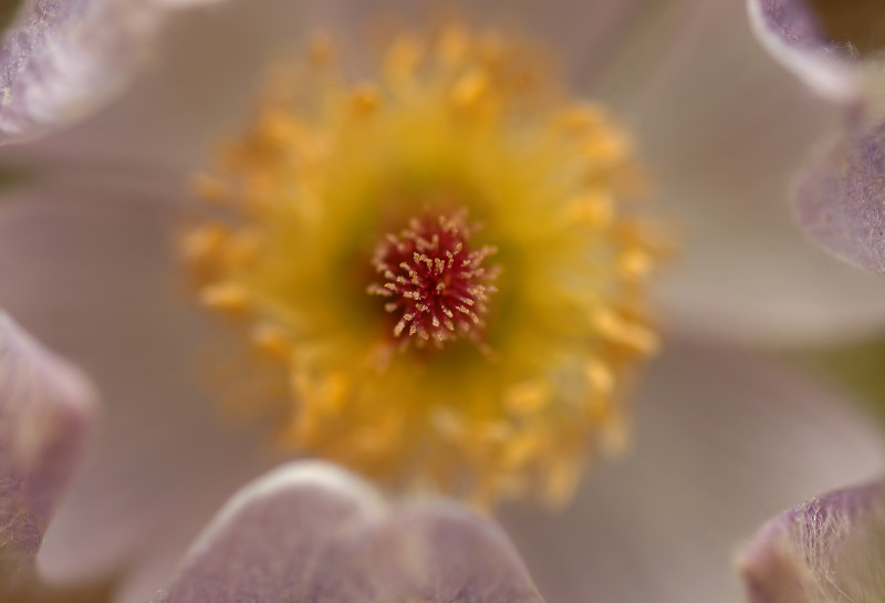 Shallow DOF