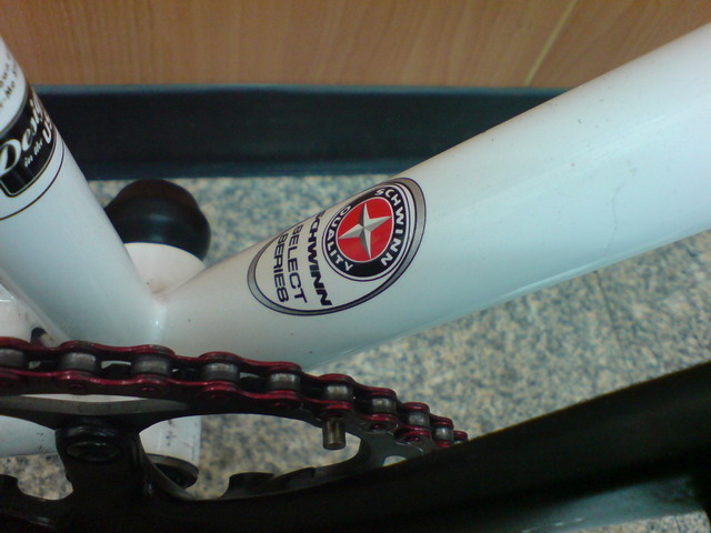 Fixed Gear Bike