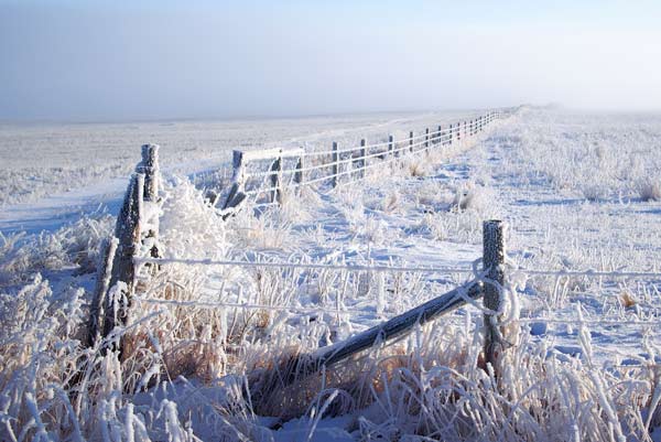FenceWeb.jpg