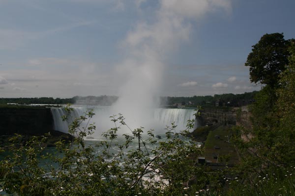 IMG_5795.jpg