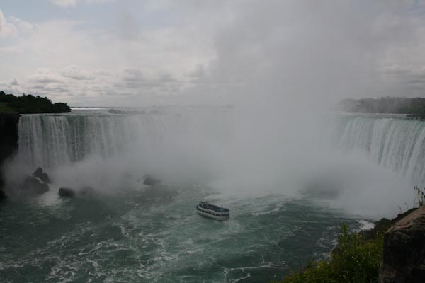 IMG_5808.jpg