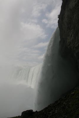 IMG_5826.jpg