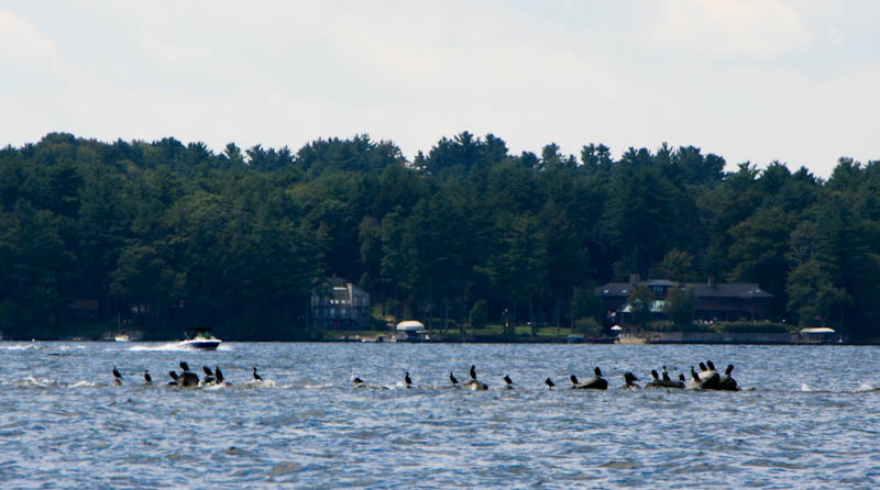 IMG_7066.jpg