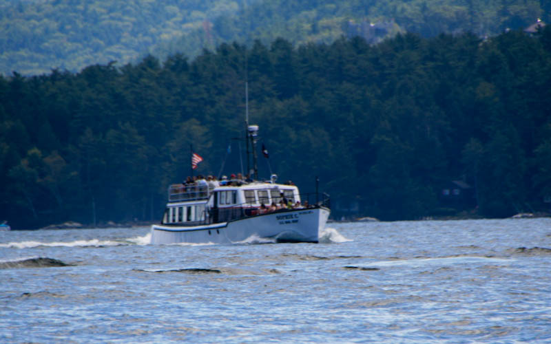 IMG_7068.jpg