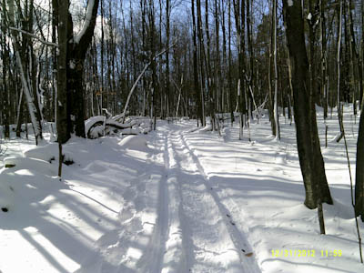DSCF0093.jpg