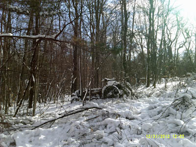 DSCF0095.jpg