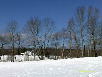 DSCF0101.jpg