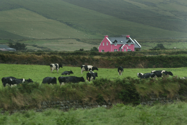 Pink-Farm-House.gif