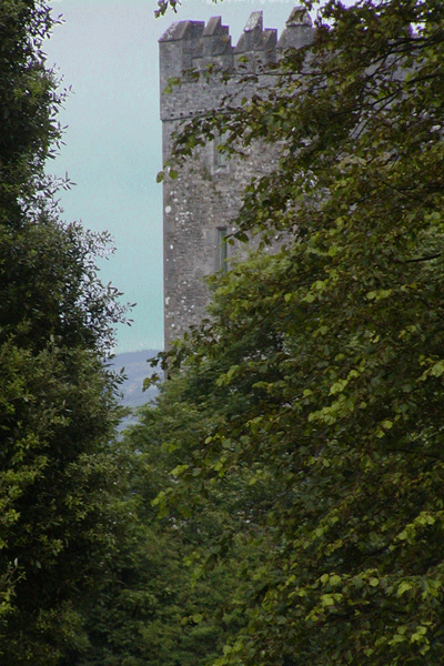 Bunratty-Castle-#2.gif